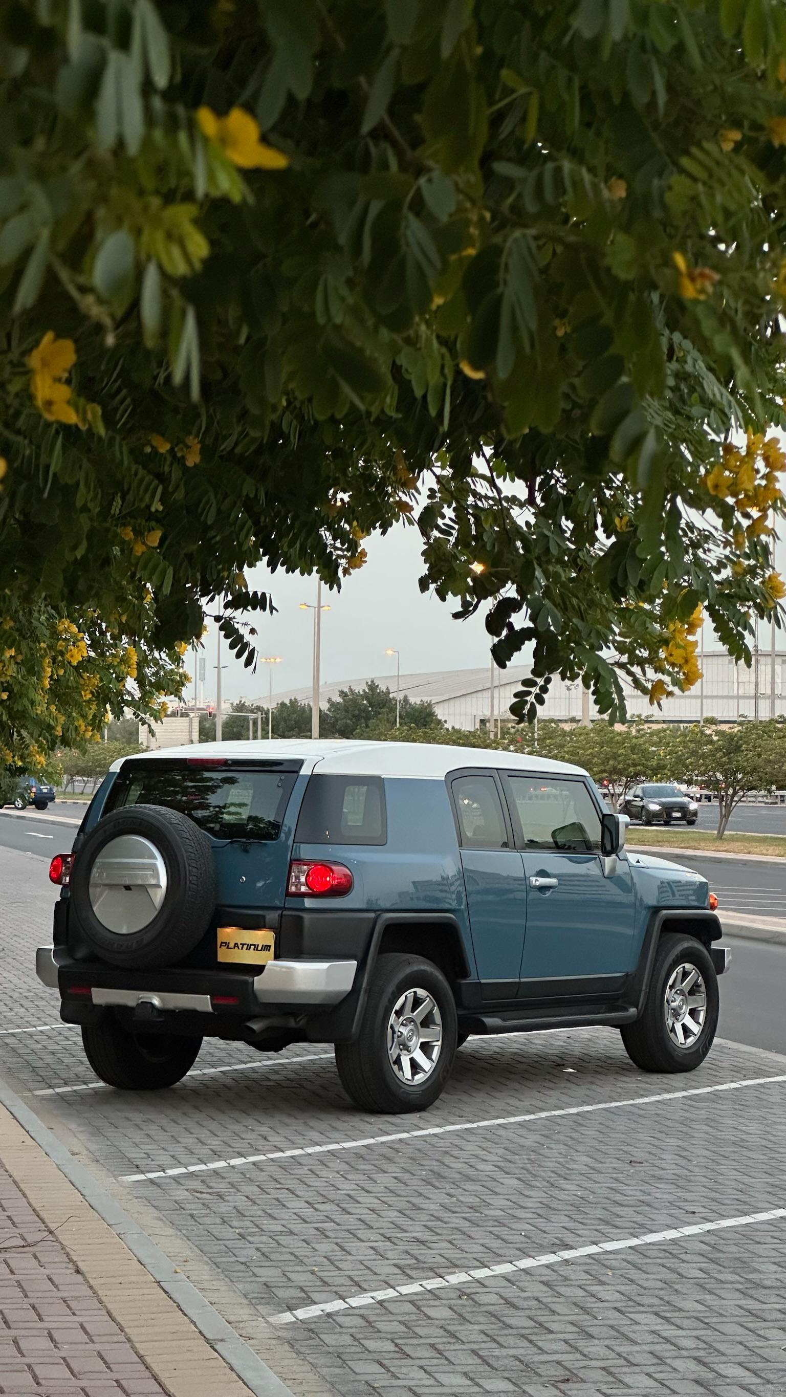 TOYOTA FJ 2016 • SUV