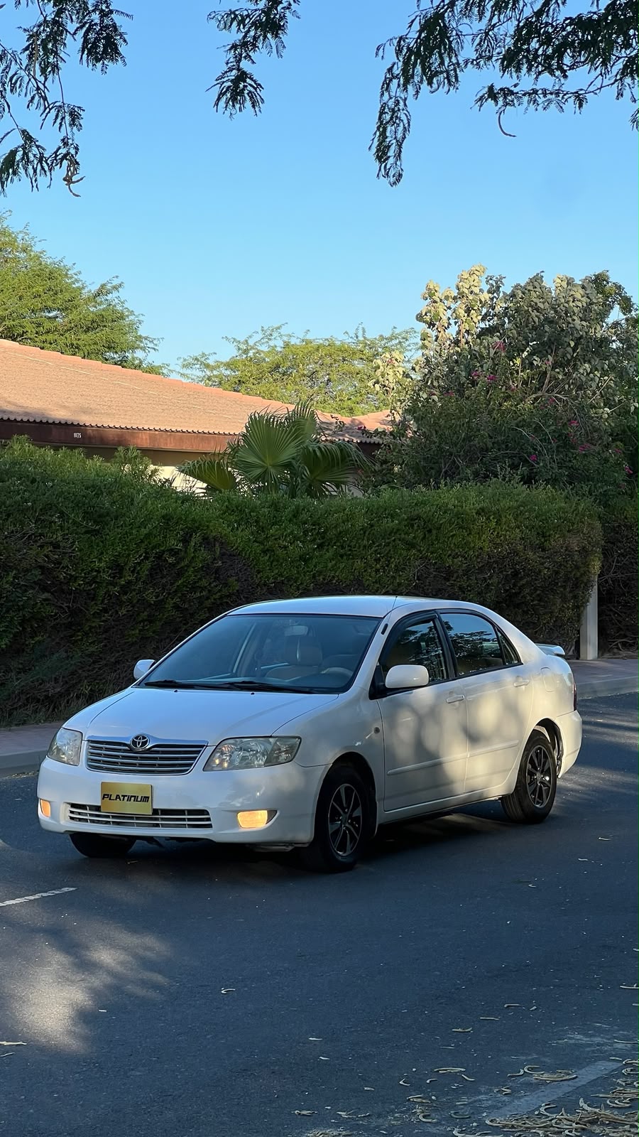TOYOTA COROLLA 2005 • SEDAN