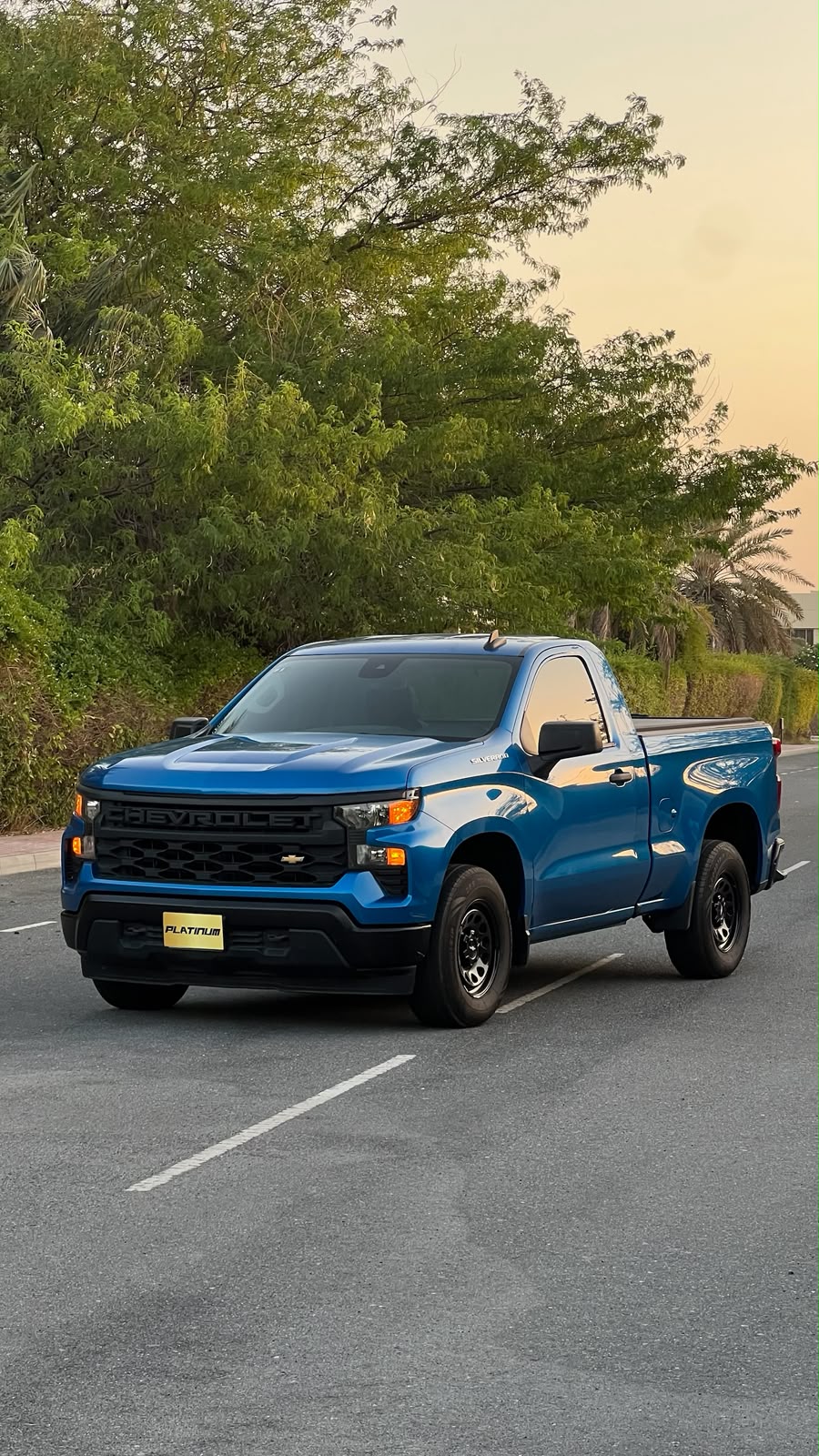 SHEVROLET SILVERADO 2022 • PICKUP