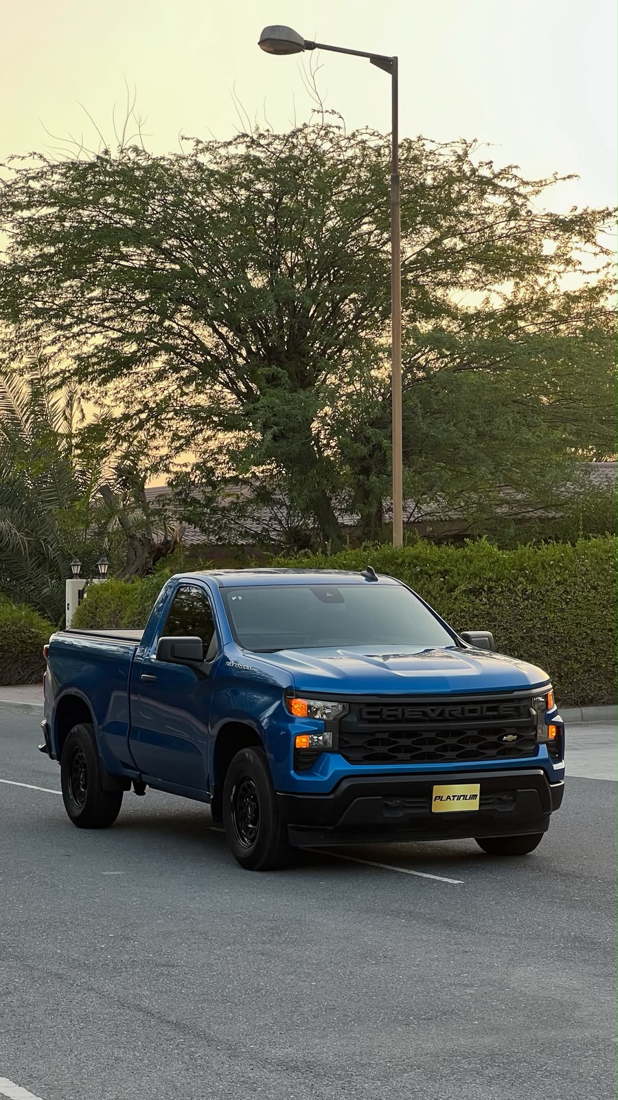 SHEVROLET SILVERADO 2022 • PICKUP